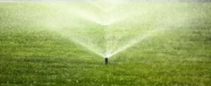 Higher Ground North Texas Watering Guide Higher Ground North Texas Watering