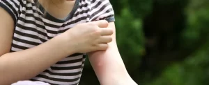 Ditch the Spray: Our Top Five Best Non-Chemical Mosquito Repellents Our Top Five Best Non-Chemical Mosquito Repellents