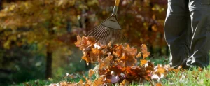 Prepping Your Lawn for Winter Your Lawn for Winter