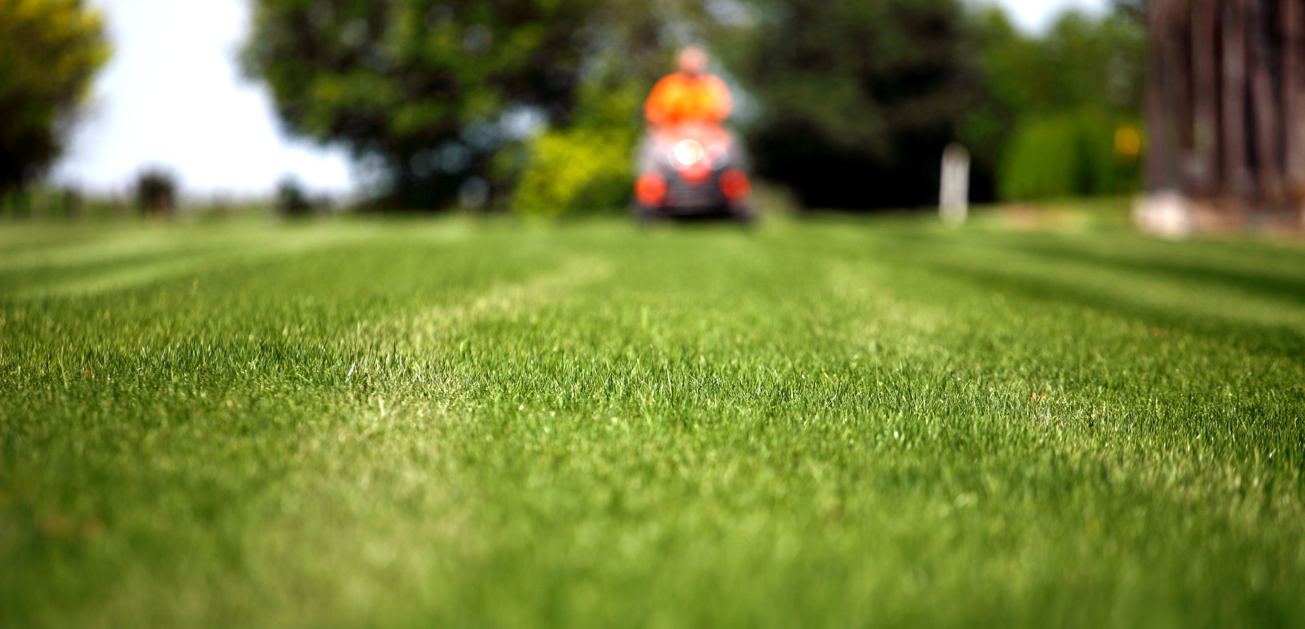 man cutting grass in the distance