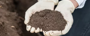 Soil Health: Organic, Organic, Organic Soil Health Organic