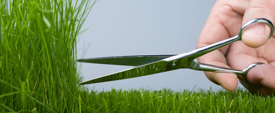 Effects Mowing Heights Have on Weed Control and Irrigation