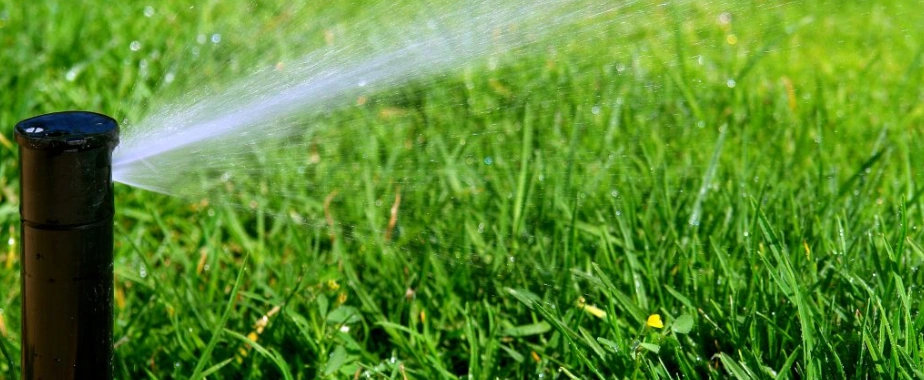 Watering Practices for a Healthy Lawn