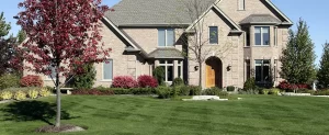 Organic vs Synthetic Fertilizer Organic vs Synthetic Fertilizer
