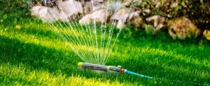 Knowing Your Water Restrictions For Dallas Knowing Your Water Restrictions For Dallas