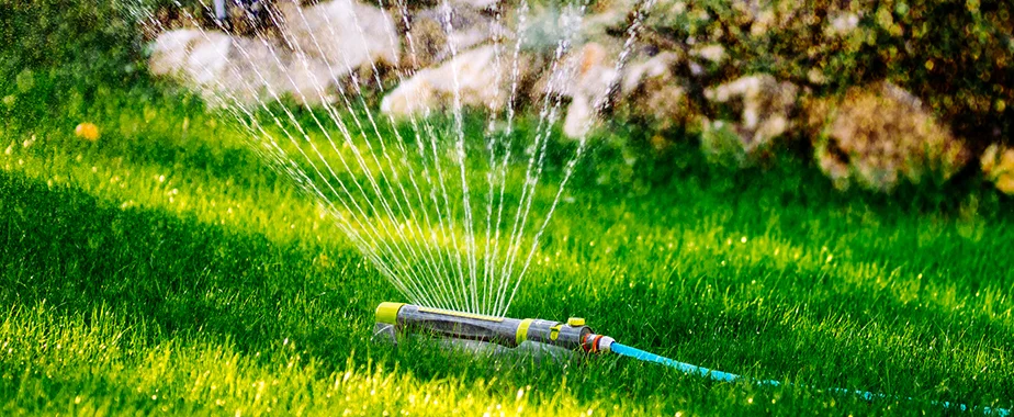 Knowing Your Water Restrictions For Dallas