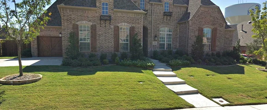 5 Tips to Help Your Lawn Health During the Summer Heat