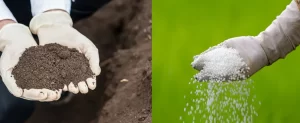 Is Your Yard Safe For Your Pets? yards-safe-for-pets