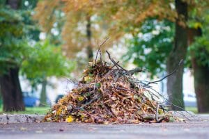 Keeping Your Lawn Healthy During The Cooler Months