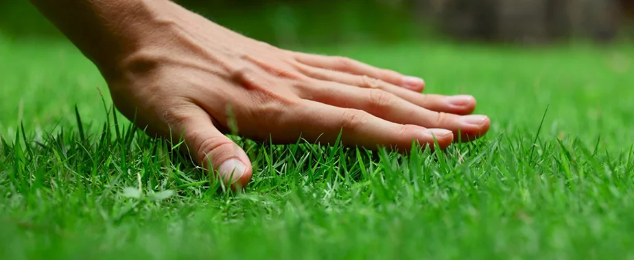 Keeping Your Lawn Healthy During The Cooler Months
