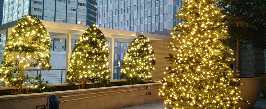 Tree Wrapping