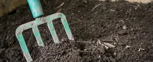 How to Start Composting How to Start Composting