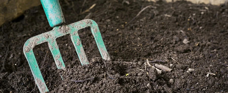 How to Start Composting