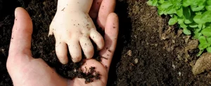 What Is Organic Hybrid Lawn Care? Organic Hybrid Lawn Care