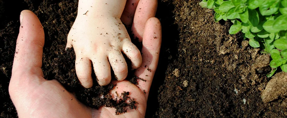 Organic Hybrid Lawn Care