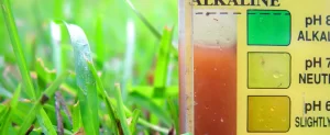 Healthy Soil, Healthy Plants, and Healthy Grass pH level of your soil can be tested
