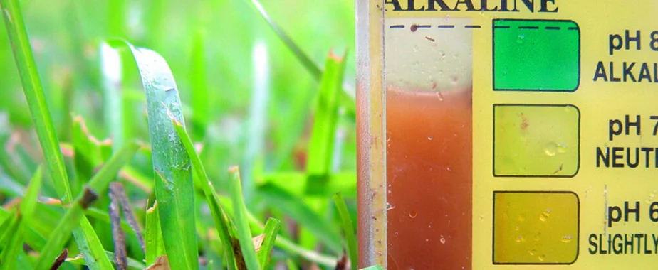 pH level of your soil can be tested