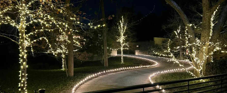 Christmas light decorations in a backyard garden