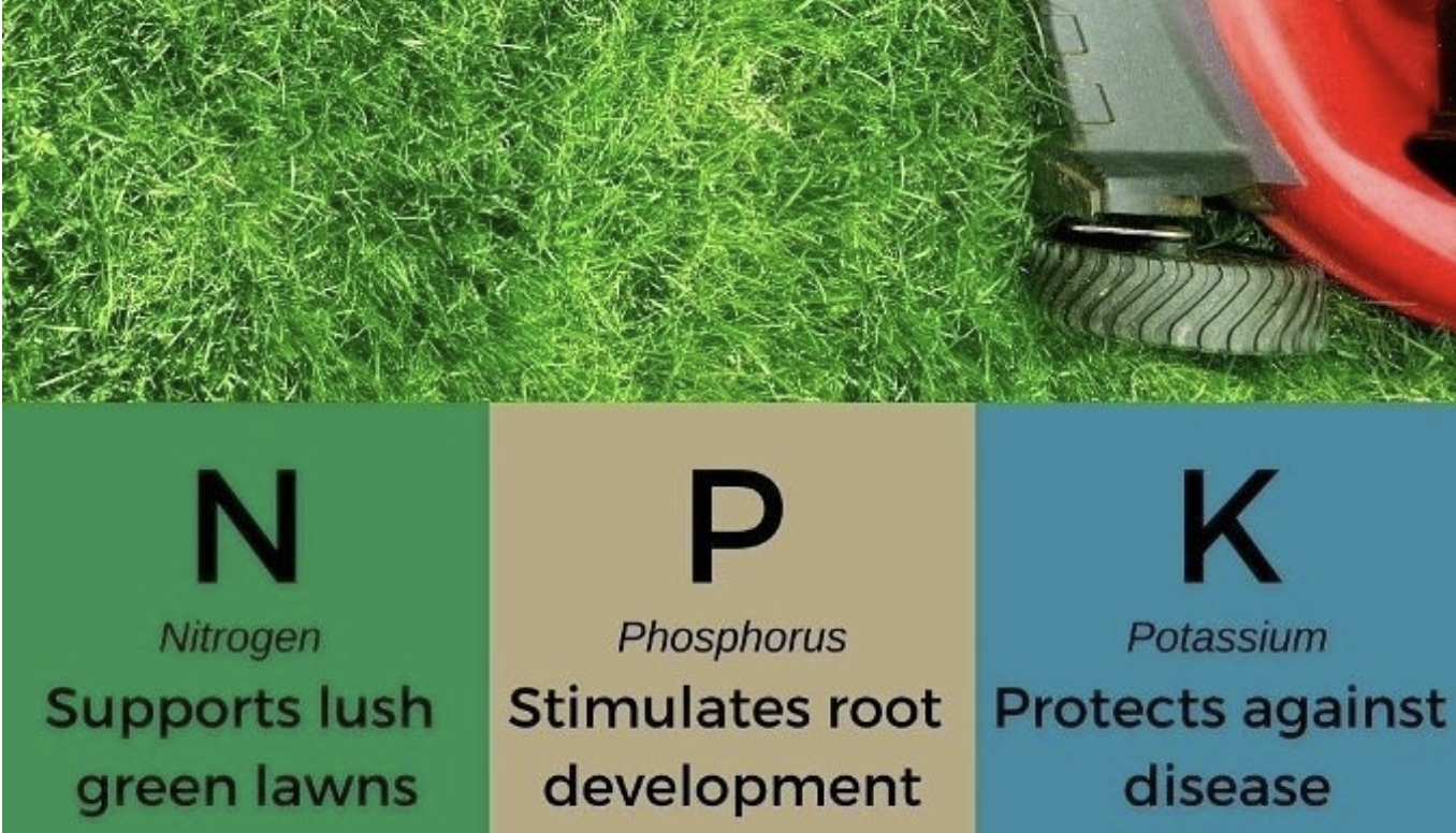 A Nitrogen, Potassium, and Phosphorus image