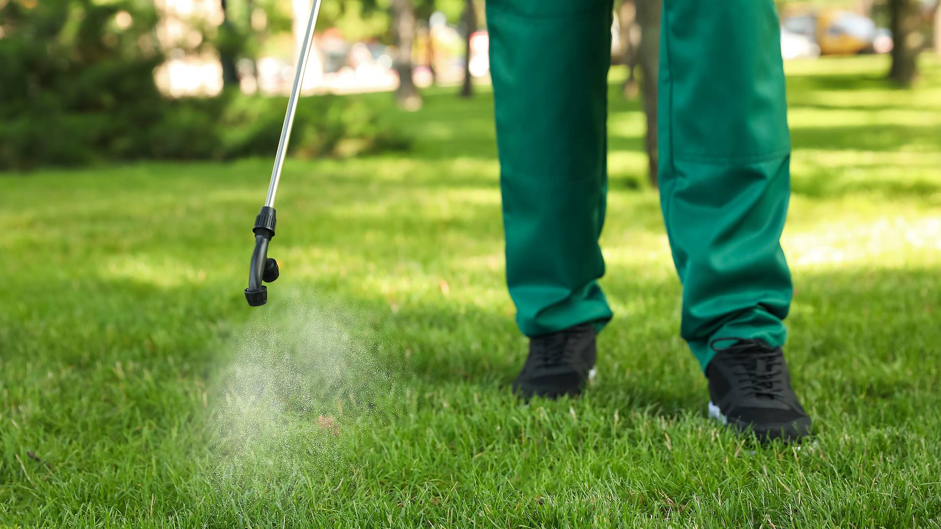lawn fertilization service Dallas, TX