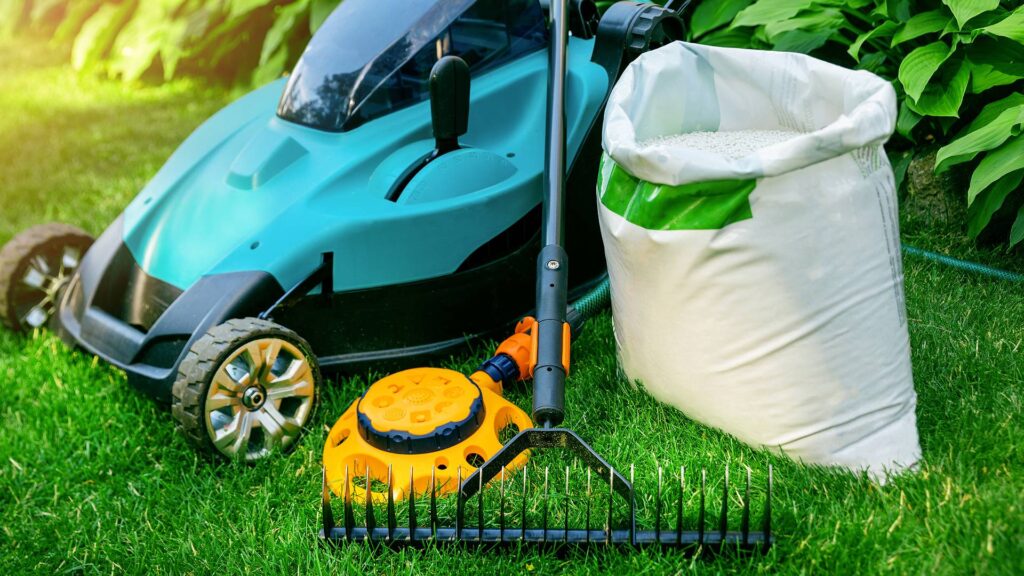 lawn care monthly calendar timeline Texas