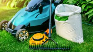 Seasonal Lawn Care Timeline: What to Do Each Month in Texas lawn care monthly calendar timeline Texas