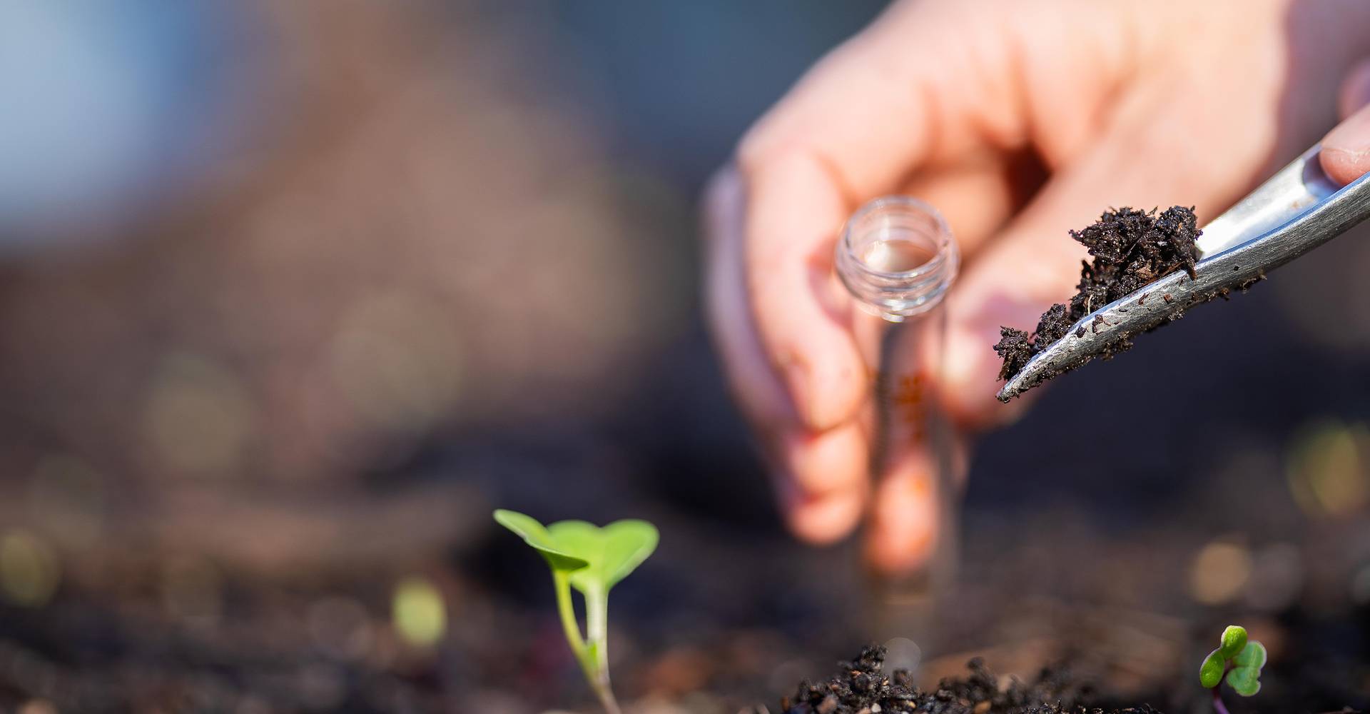 professional soil testing for effective lawn management in Texas
