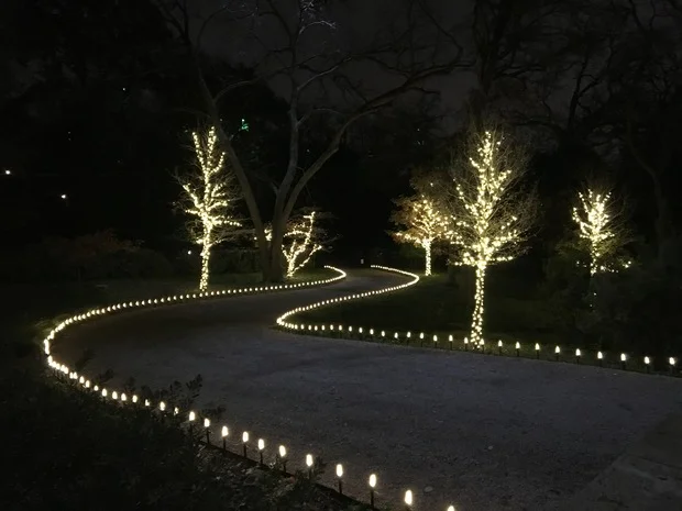 professional-outdoor-holiday-lights-dallas-tx