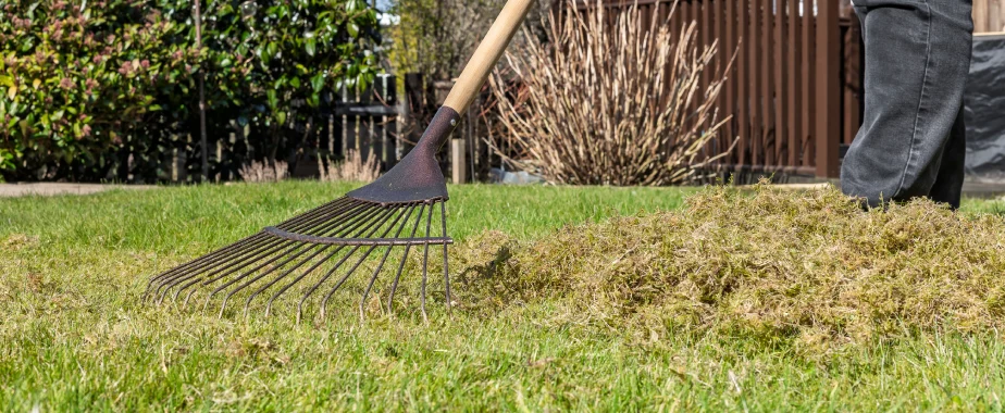 weed control in texas lawns
