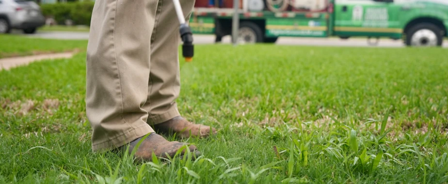 fall lawn care before winter dallas tx