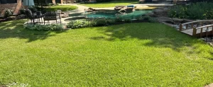 When Is the Best Time for Fall Overseeding and Aeration in Dallas? When Is the Best Time for Fall Overseeding and Aeration in Dallas?