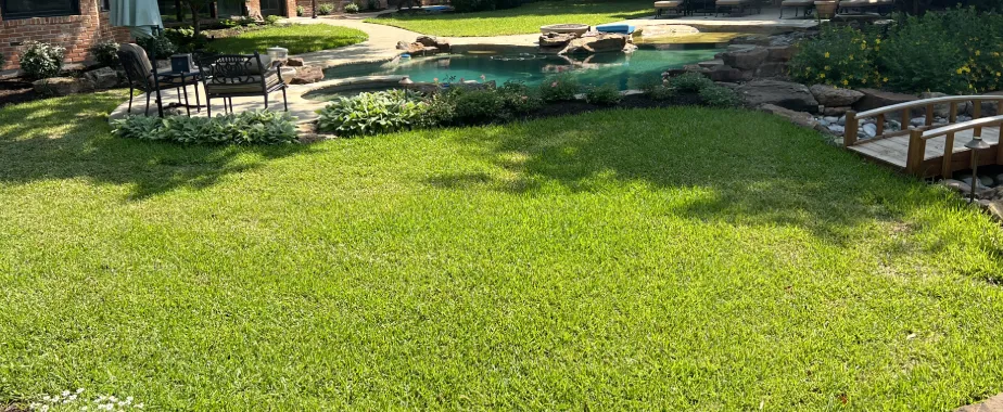 When Is the Best Time for Fall Overseeding and Aeration in Dallas?