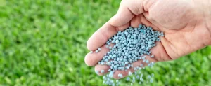 Protecting Your Lawn & Landscape from Winter Stress lawn fertilization before winter dallas tx