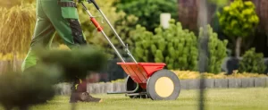 Dallas Lawn Fertilization Schedule for Bermuda, St. Augustine, and Zoysia dallas lawn fertilization schedule