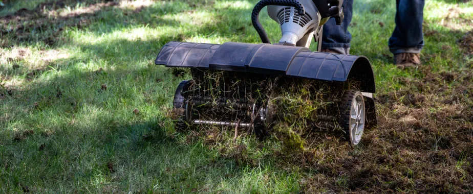 dethatching in north texas warm-season lawns